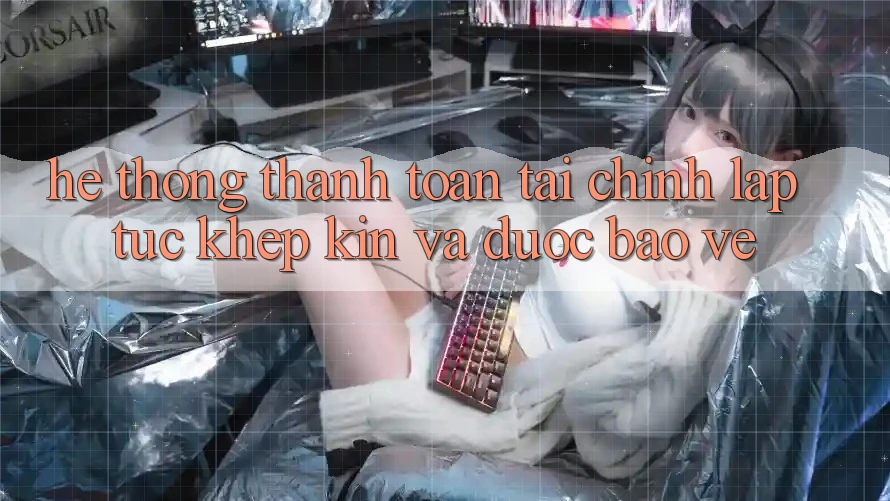 Hệ Thống Thanh toán Tài Chính: Lập tức, Khép Kín Và Được bảo vệ