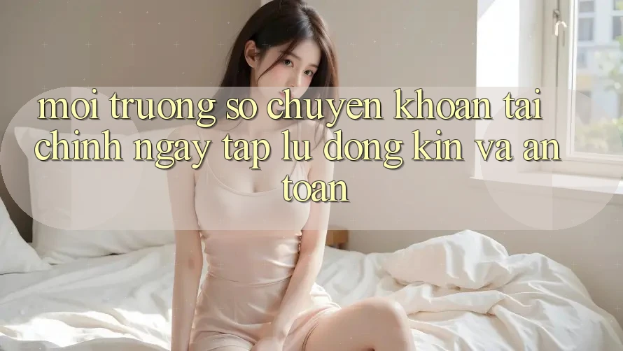 Môi trường số Chuyển khoản Tài Chính: Ngay tắp lự, Đóng Kín Và An Toàn