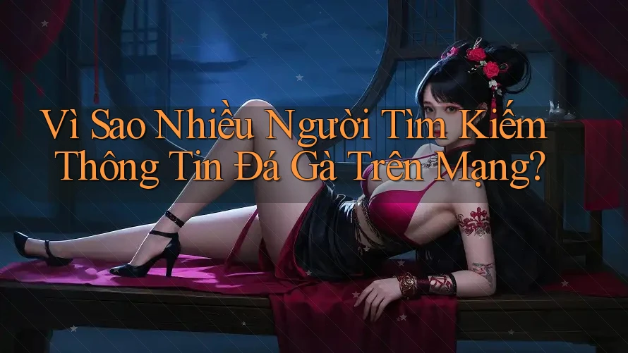 Vì Sao Nhiều Người Tìm Kiếm Thông Tin Đá Gà Trên Mạng?