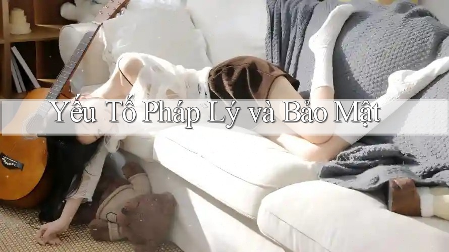 Yếu Tố Pháp Lý và Bảo Mật