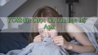yo88  đặt cược gà câu lạc bộ apk
